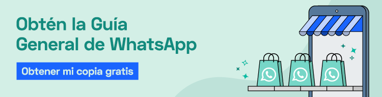 obtén la guía general de whatsapp
