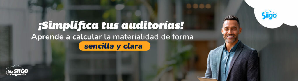Materialidad en auditoría.