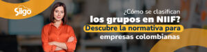 grupos-en-niif grupos en niif